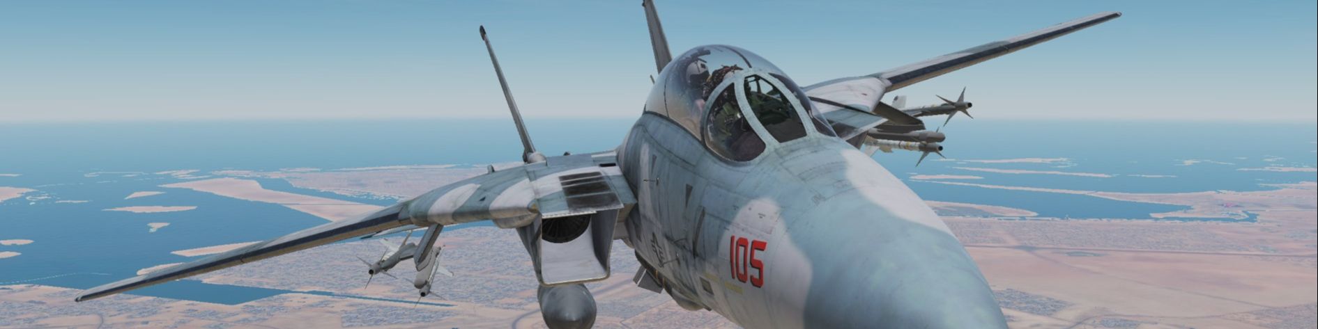 DCS: F-14 by Heatblur Simulations [torrent Full]